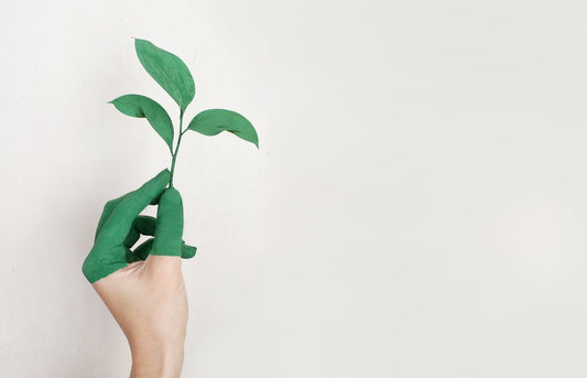 Comment adopter une conscience écologique dans sa vie quotidienne ?