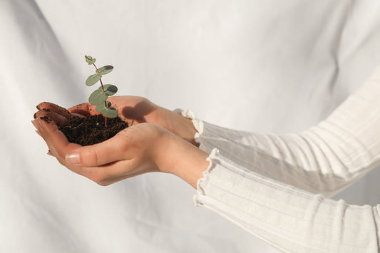 Comment réduire son impact écologique ?